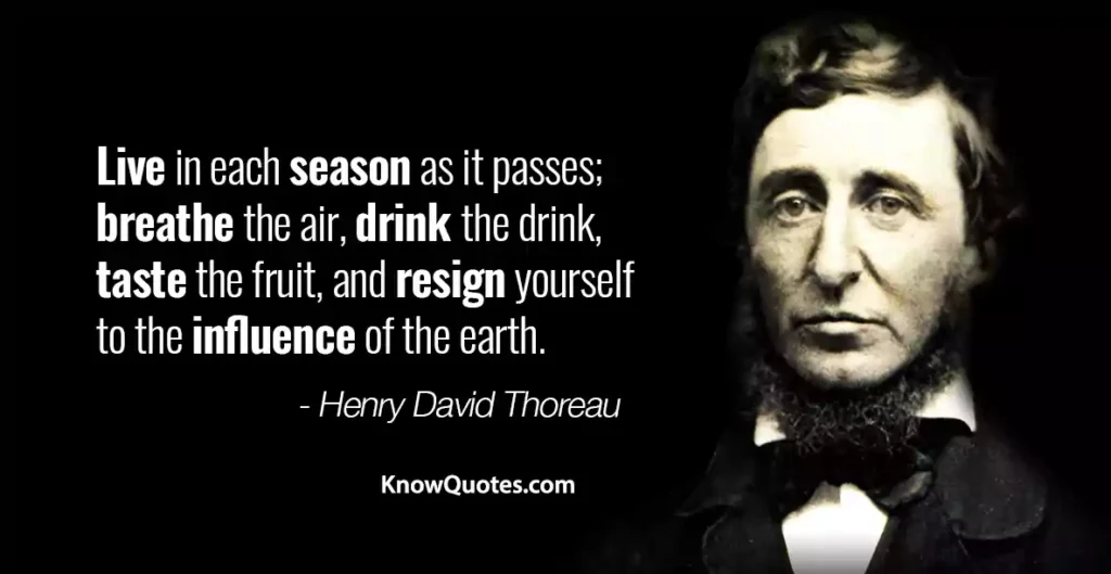 Henry David Thoreau Quotes Walden