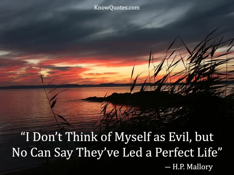 Quotes No One Is Perfect