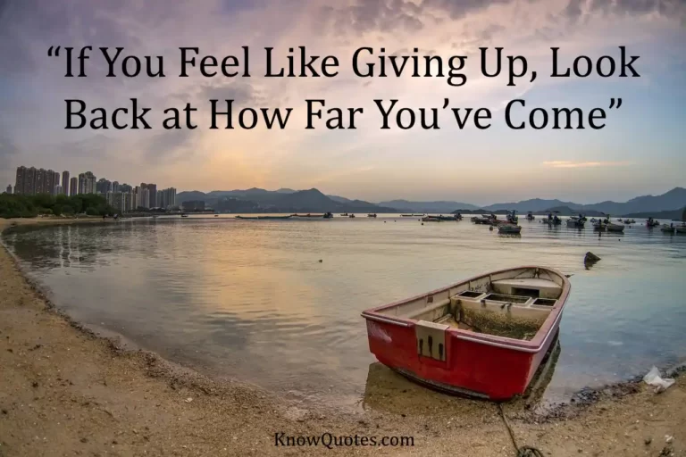 Quotes When You Feel Like Giving Up