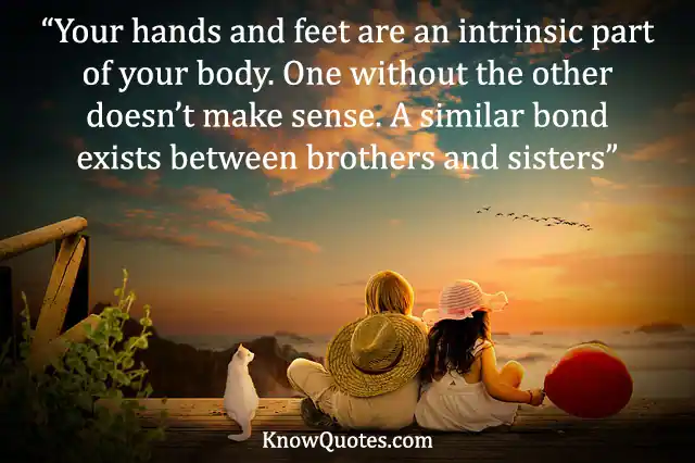 Funny Brother and Sister Quotes