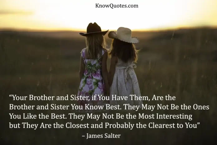Quotes Brother and Sister Friendship