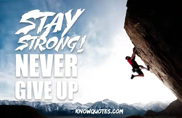 Quotes Never Give Up on Life