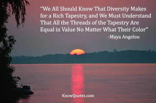 Quote About Equality and Diversity