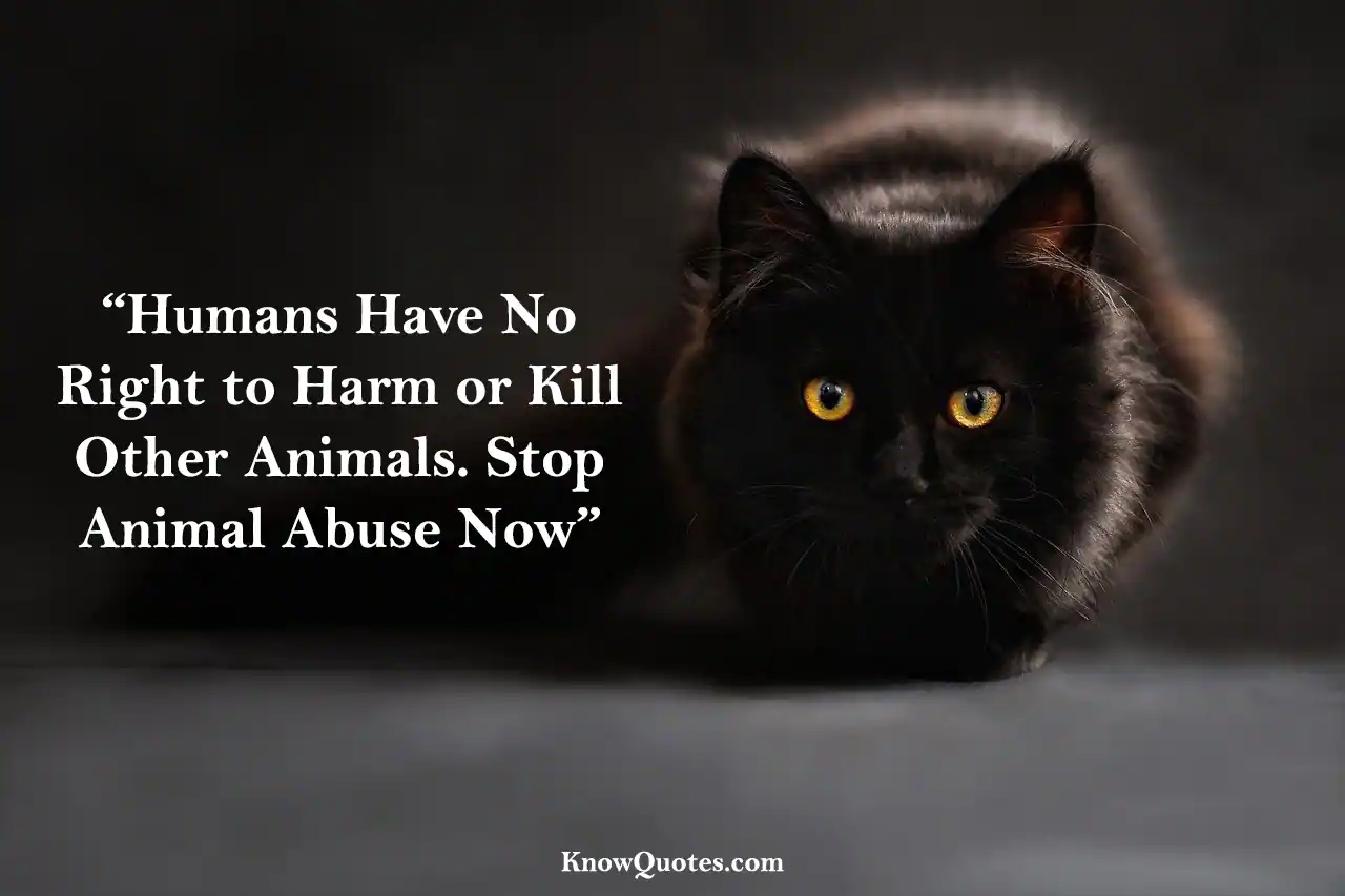 Animal Abuse Quotes Images