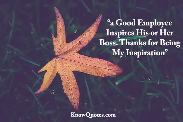 Appreciation Quotes for Good Work