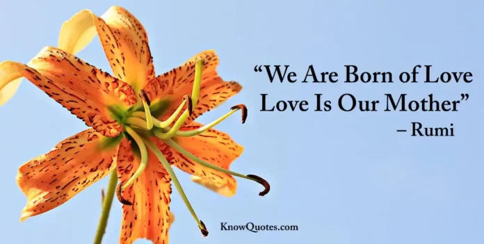 Maulana Rumi Quotes on Love