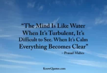 Clear Mind Quotes