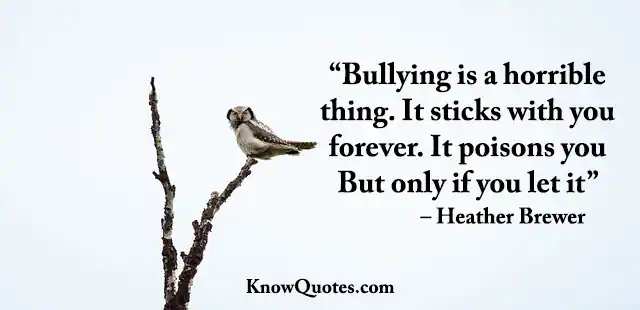Funny Quotes About Bullying