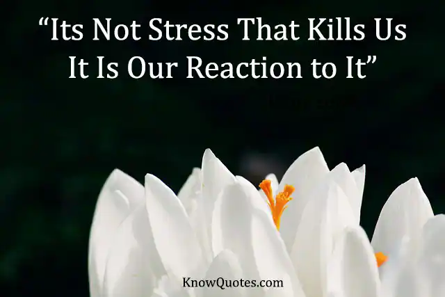 Famous Quotes About Stress in Life