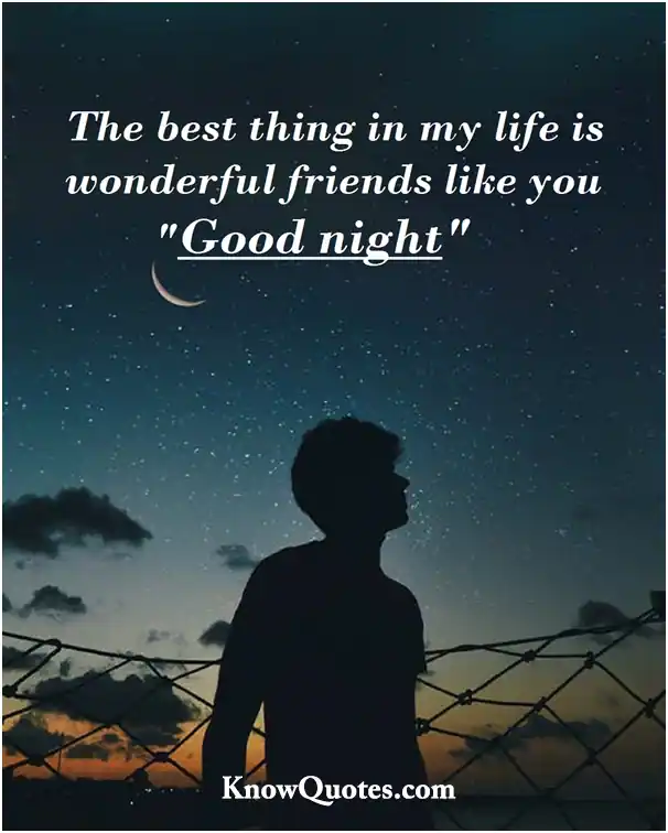 Good Night Quotes to Him
