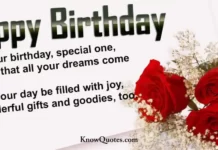 I Wish Happy Birthday