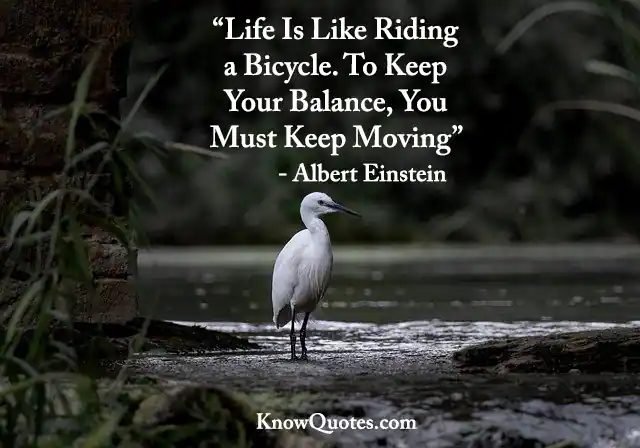 Well Balanced Life Quotes