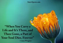 Miscarriage Memorial Quotes and Poems