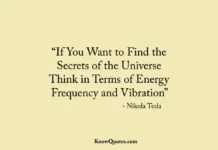 Positive Vibration Quotes