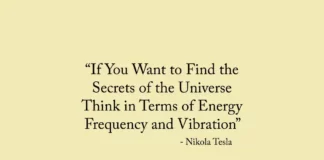 Positive Vibration Quotes