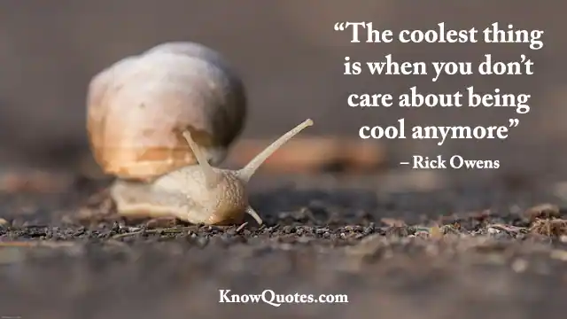Cool Quotes About Being Cool