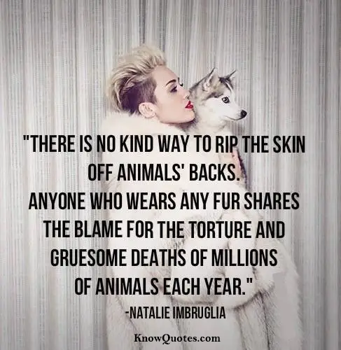 Quotes About Animal Abuse