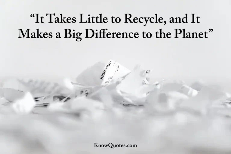 58 Best Recycle Slogans