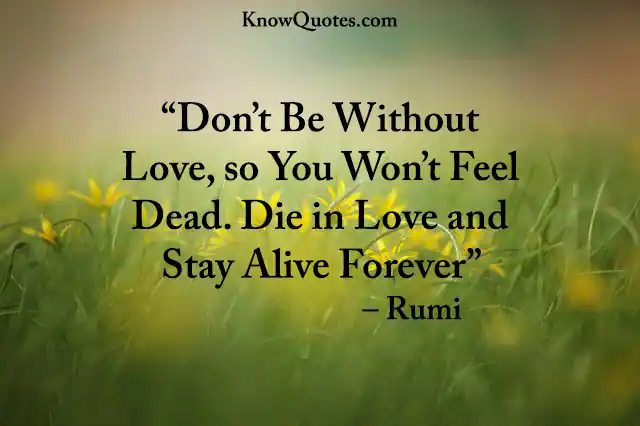 Deep Rumi Quotes on Love