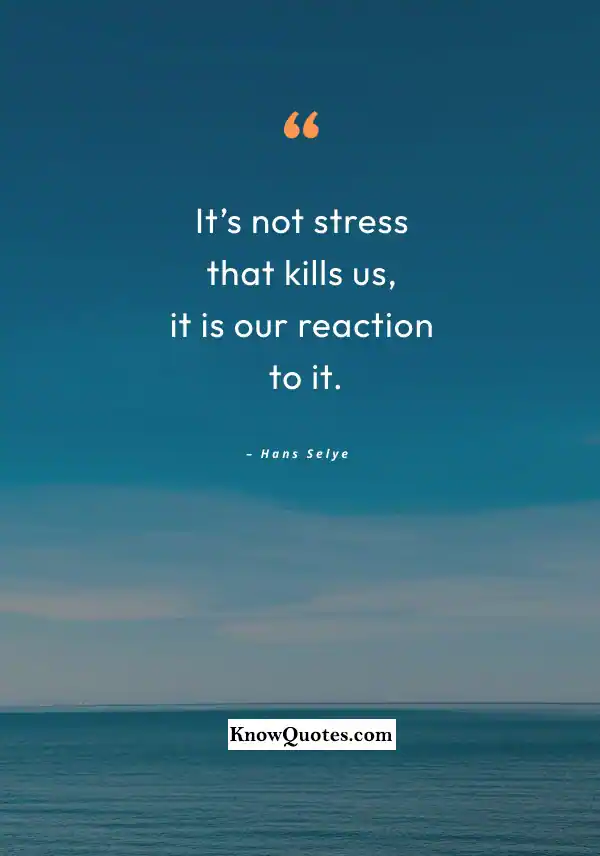 Quotes About Dealing With Stress