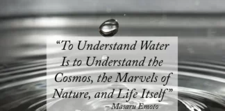Water Is Life Quotes