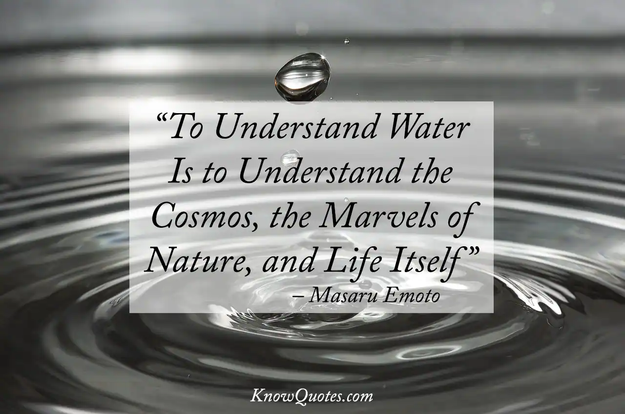 Water Is Life Quotes