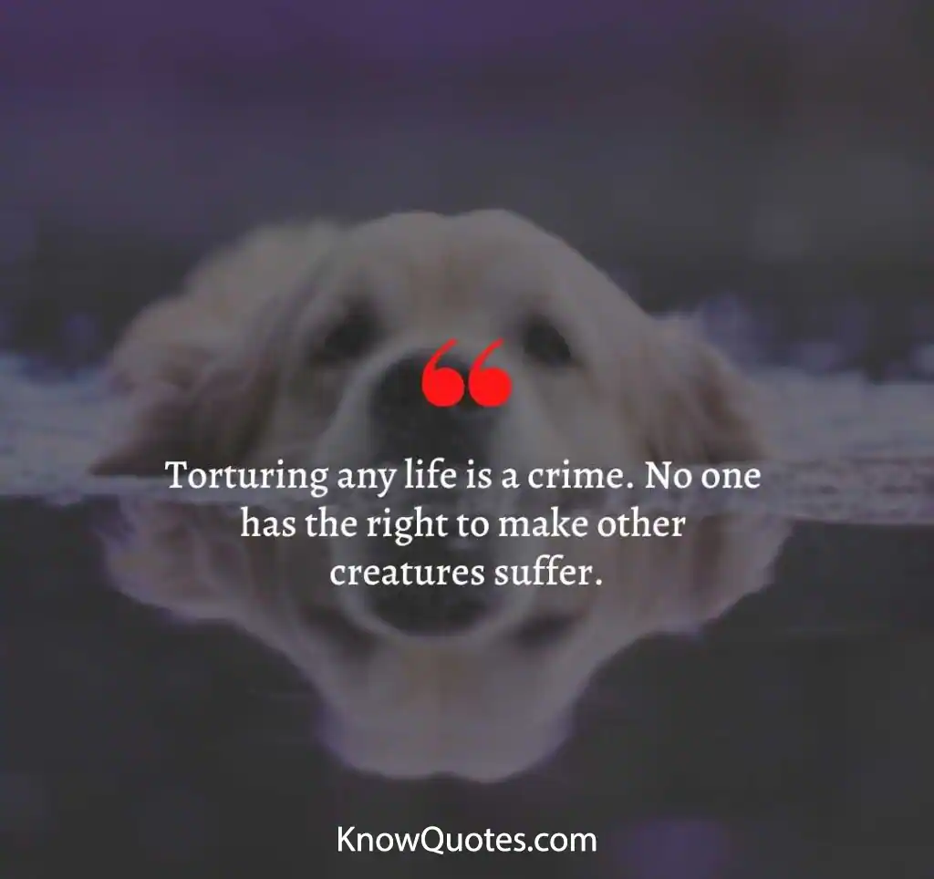 Stopping Animal Cruelty Quotes