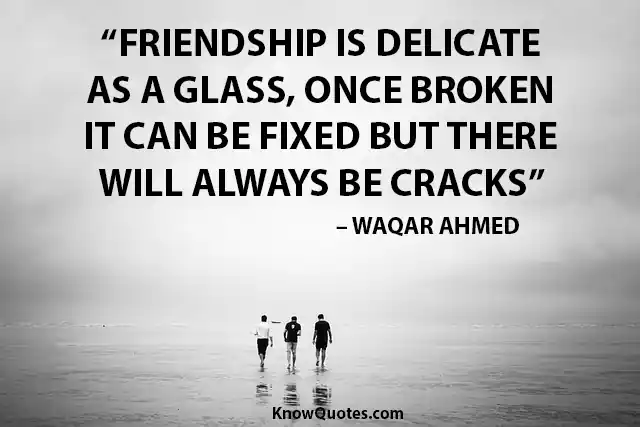 Best Friend Definition Quote