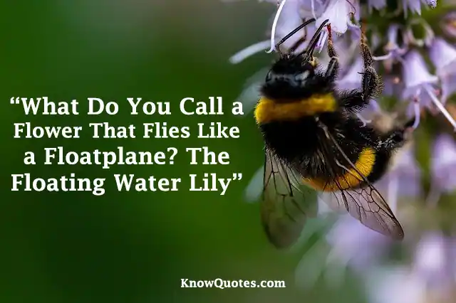Funny Flower Quotes and Sayings