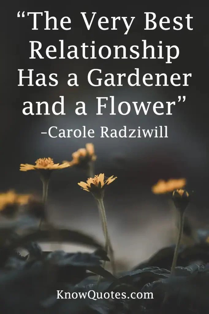 Short Funny Flower Quotes