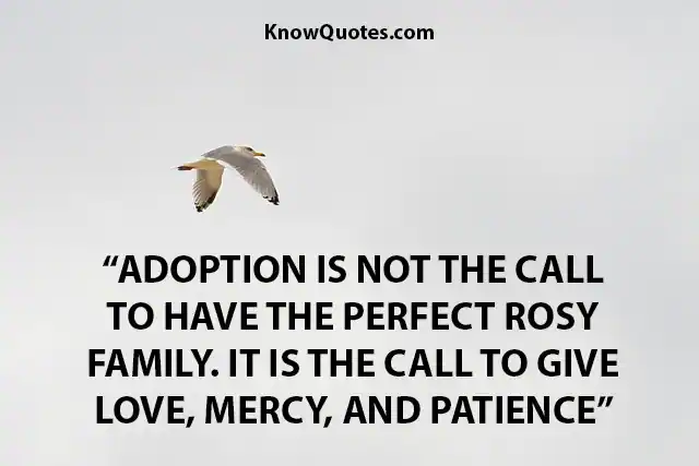 Inspirational Quotes for Adoption