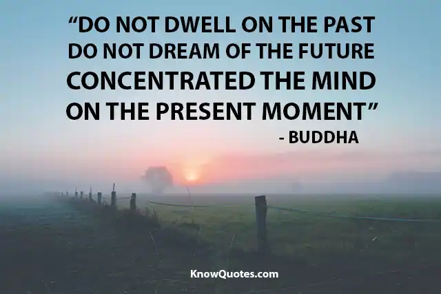 Live the Moment Quotes
