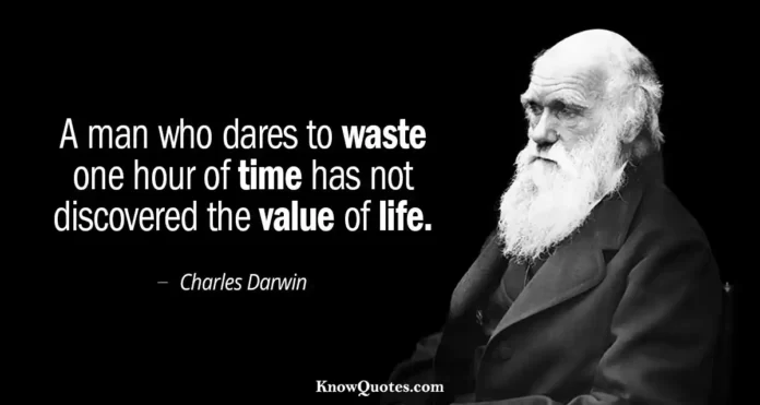 Quotes About Wasting Time