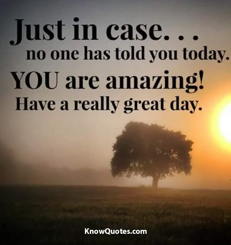 Awesome Day Quotes