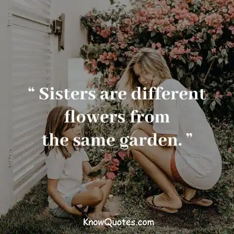 Friend Sister Quotes and Sayings