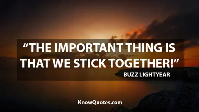 Family Stand Together Quotes