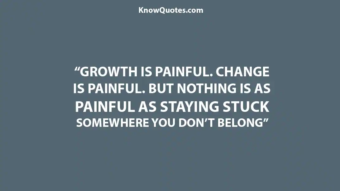 Short Quotes About Embracing Change