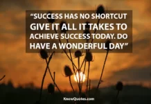 Have a Wonderful Day Quotes