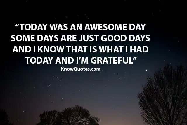Had an Awesome Day Quotes