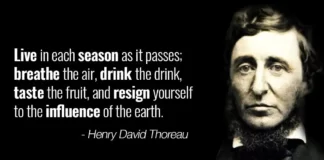 Quotes by Henry David Thoreau About Nature