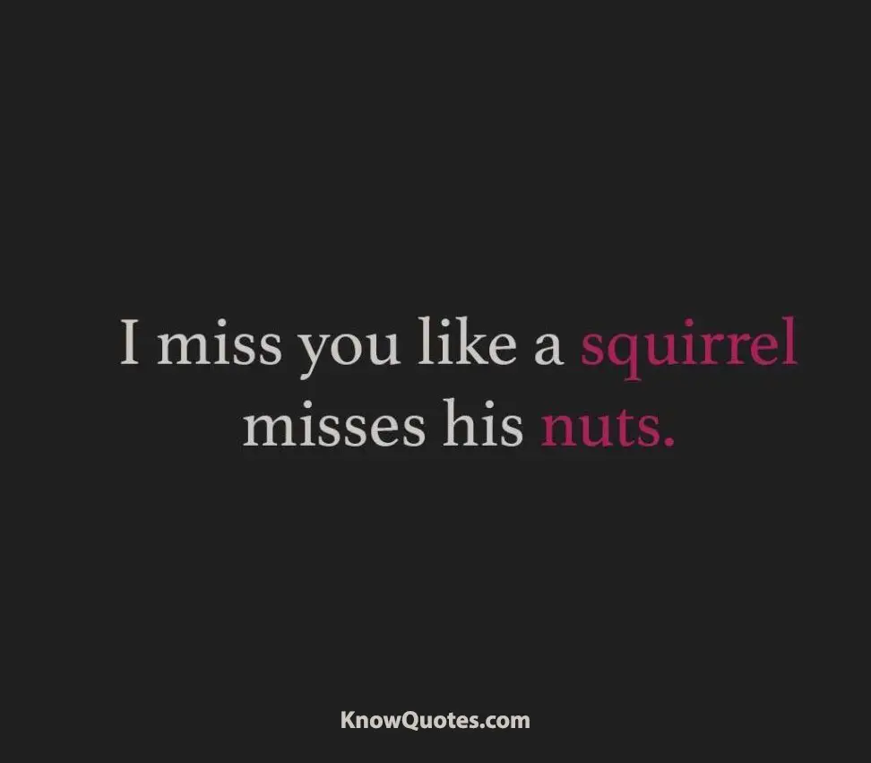 I Miss You Funny Quotes