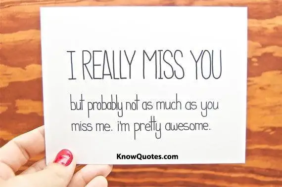 I Miss You Funny Quotes for Him