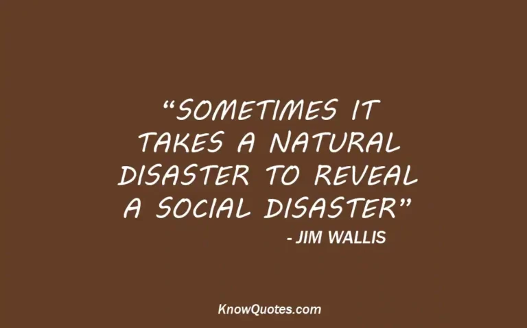 Disaster Quotes