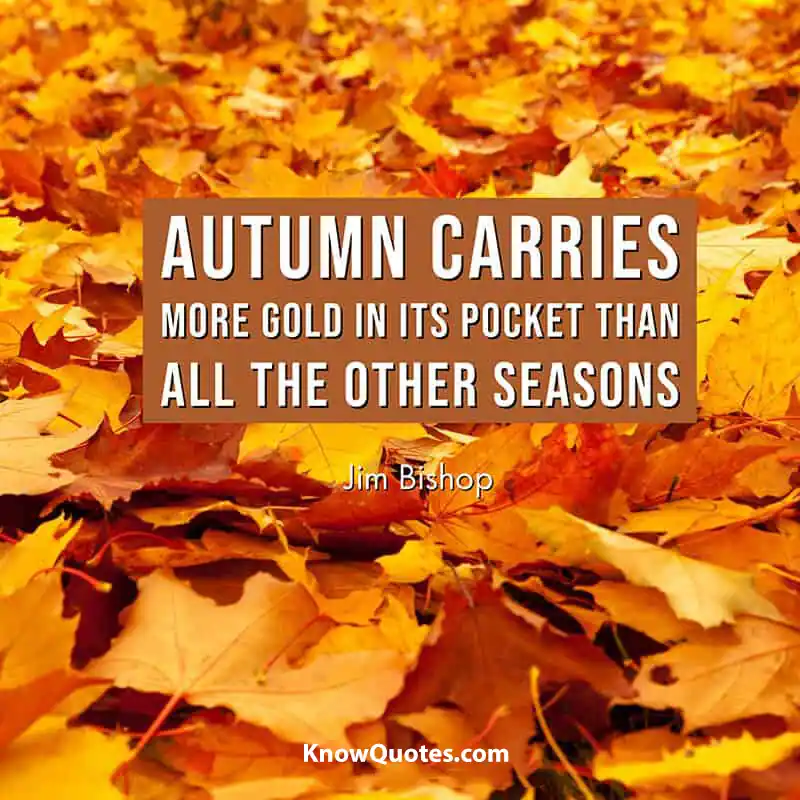 Quotes With Fall
