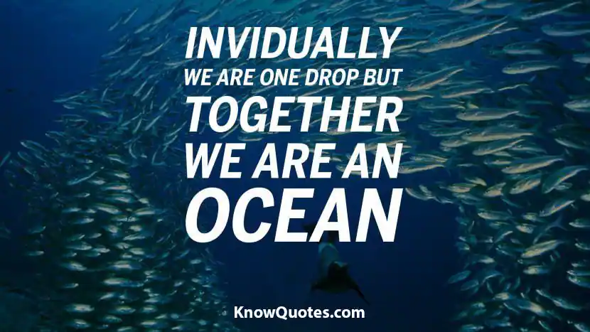 Inspirational Team Work Quotes