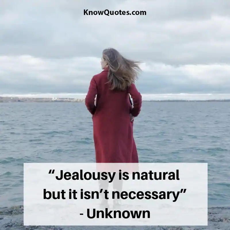 Quotes About Jealous People
