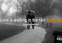 Happy Rain Love Quotes