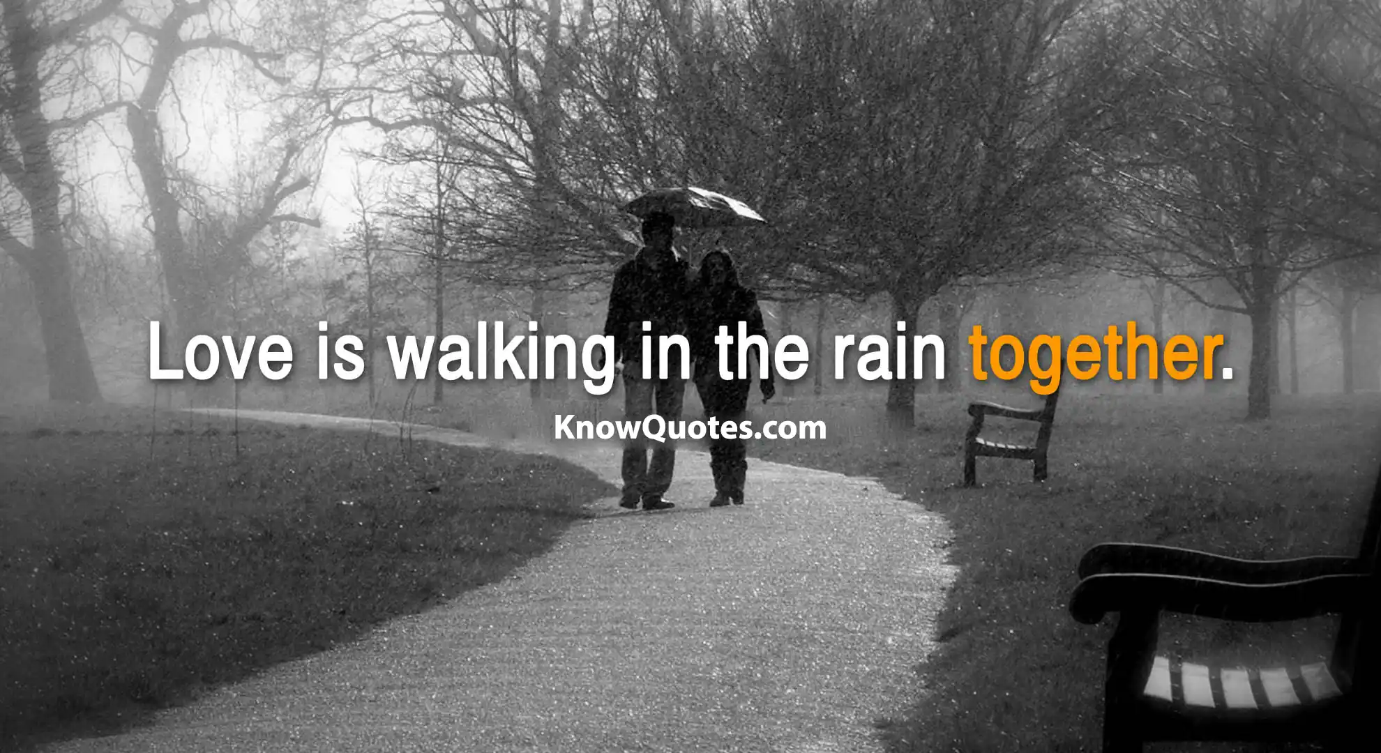 Happy Rain Love Quotes