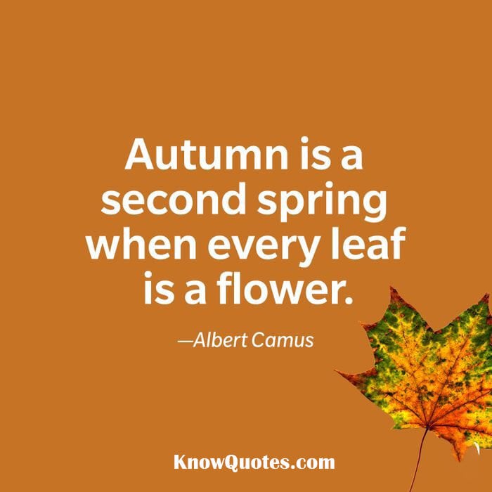 Fall Quotes Inspirational
