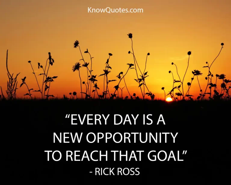 Quotes on Opportunity